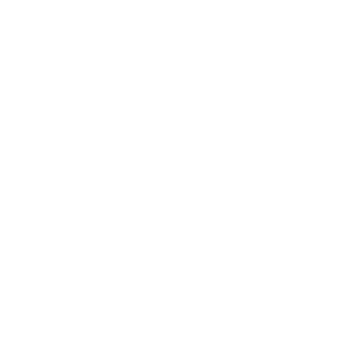 Pizza Icon